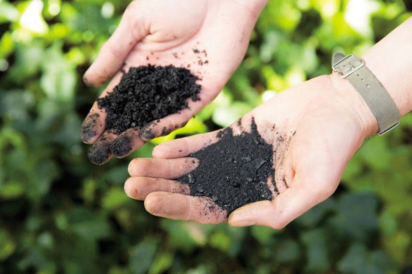 Soil Quality